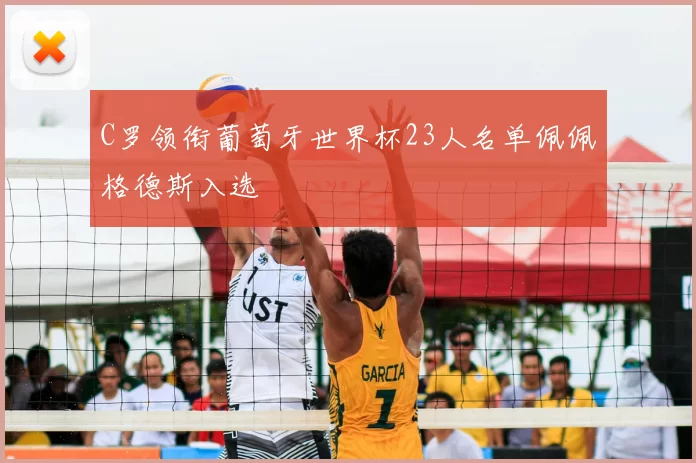 C罗领衔葡萄牙世界杯23人名单佩佩格德斯入选