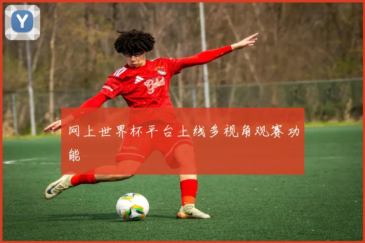 网上世界杯平台上线多视角观赛功能