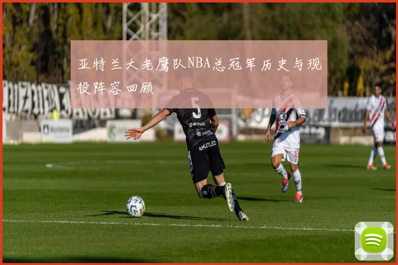 亚特兰大老鹰队NBA总冠军历史与现役阵容回顾