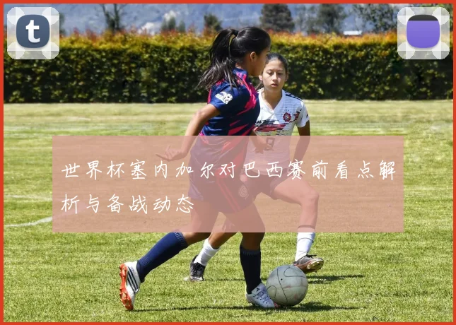 世界杯塞内加尔对巴西赛前看点解析与备战动态