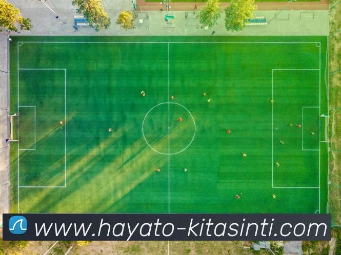 多媒体互动体验